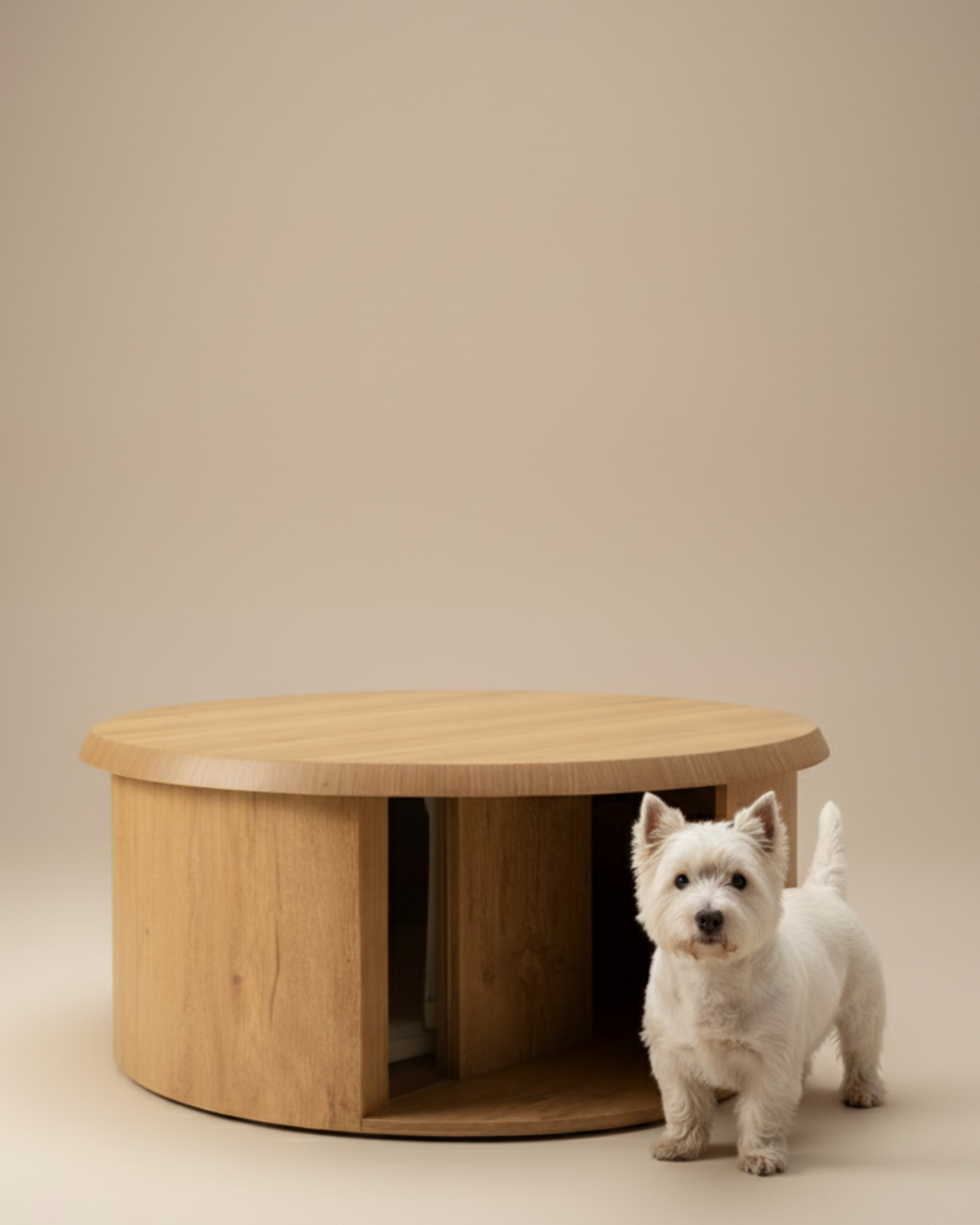 Casa Nesta Talla S - Preventa