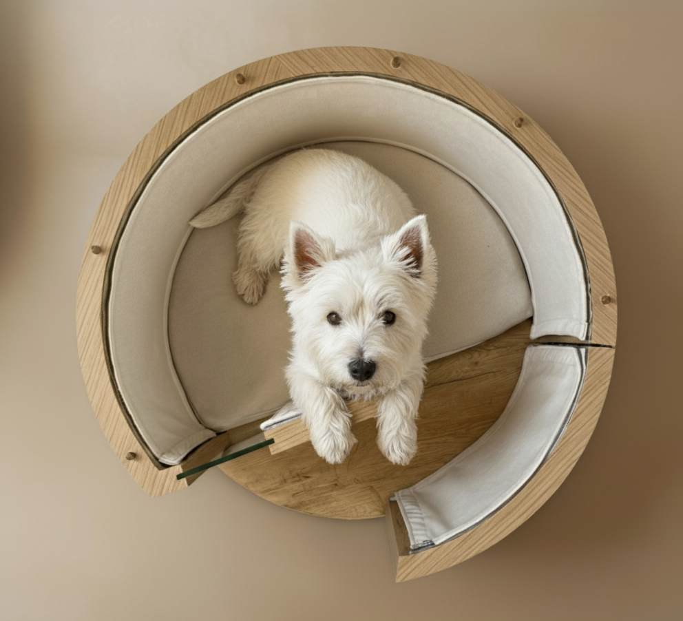 Casa Nesta Talla S - Preventa